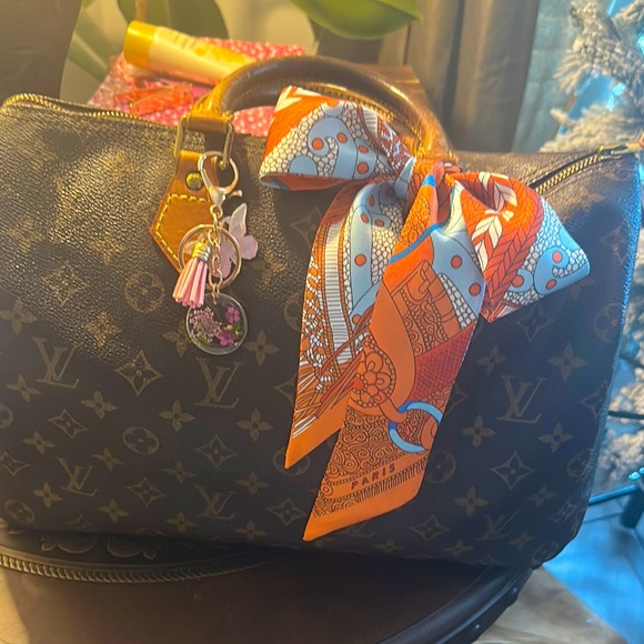 Louis Vuitton Handbags - Louis Vuitton Speedy